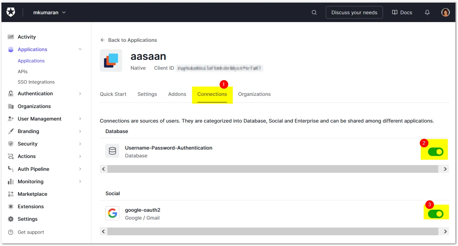 auth0 screen to ensure username pass and google-oauth checked