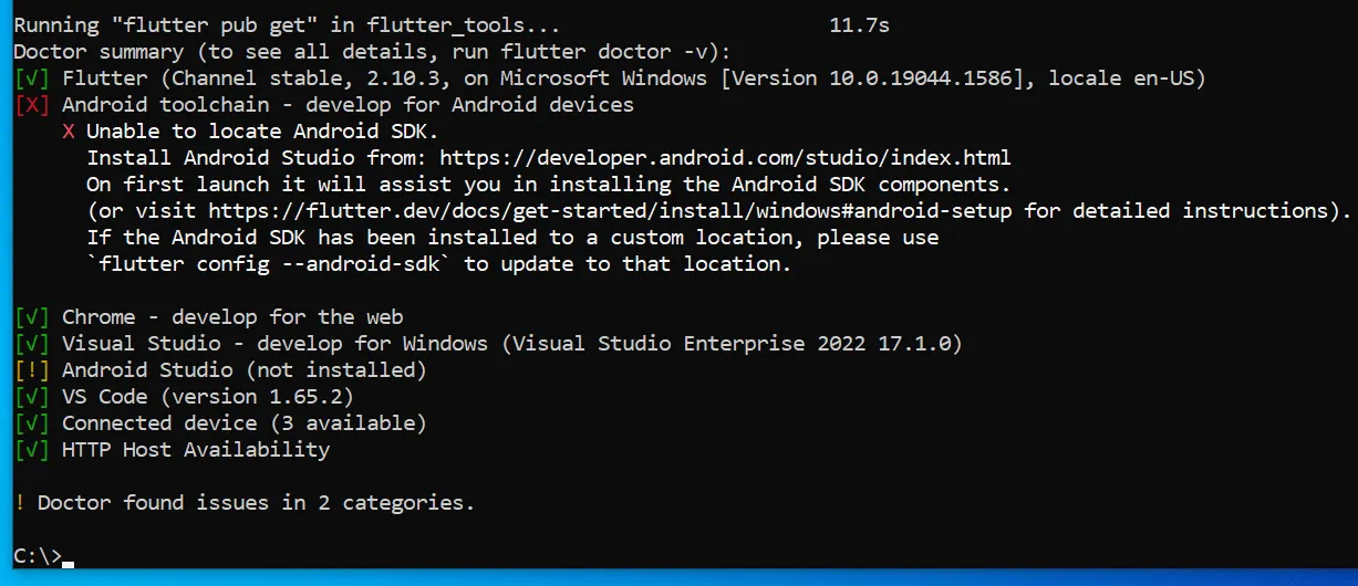 Flutter doctor output