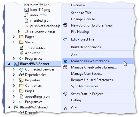Manage nuget package menu