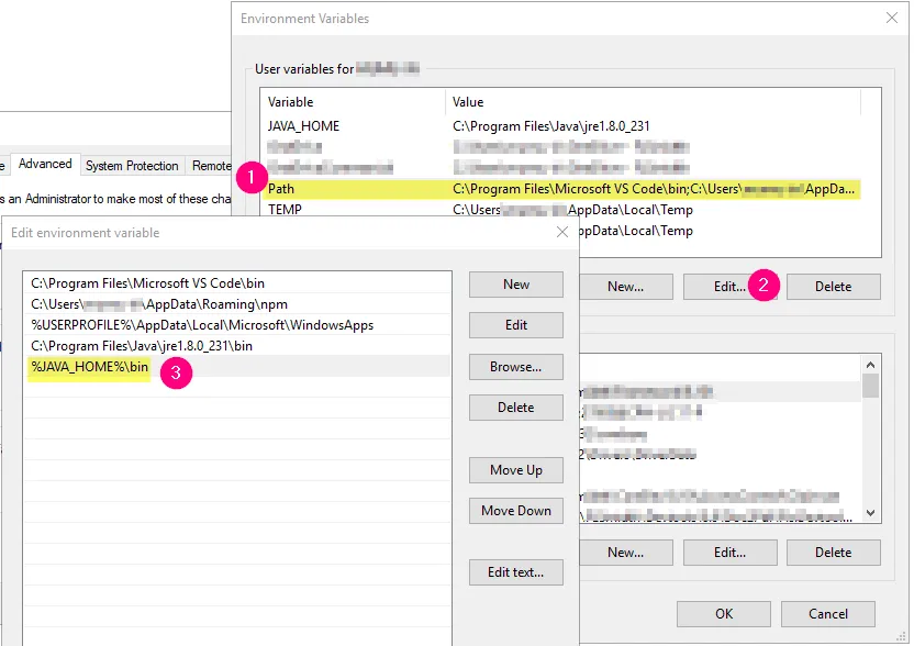 Set java path in JAVA_HOME variable